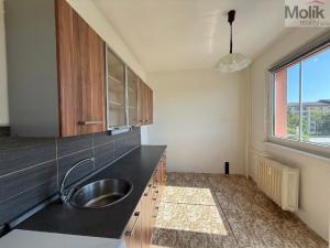 Pronájem bytu 1+1, Most, Hutnická, 36 m2