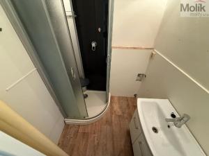 Pronájem bytu 1+1, Most, Hutnická, 36 m2