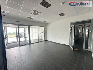 Pronájem výrobních prostor, Přestanov, 4262 m2