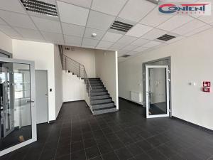 Pronájem výrobních prostor, Přestanov, 4262 m2