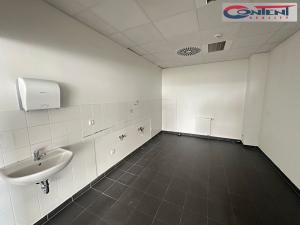 Pronájem výrobních prostor, Přestanov, 4262 m2