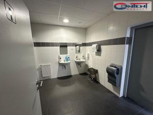 Pronájem výrobních prostor, Přestanov, 4262 m2