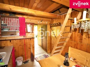 Prodej louky, Brumov-Bylnice - Brumov, 497 m2