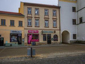 Prodej vícegeneračního domu, Vyškov - Vyškov-Město, Masarykovo náměstí, 1603 m2