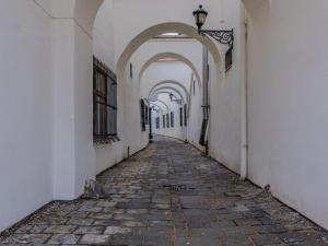 Prodej vícegeneračního domu, Vyškov - Vyškov-Město, Masarykovo náměstí, 1603 m2