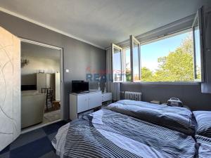 Prodej bytu 2+1, České Budějovice, Lidická tř., 53 m2