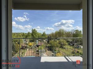 Prodej bytu 1+1, Nová Role, Svobodova, 39 m2