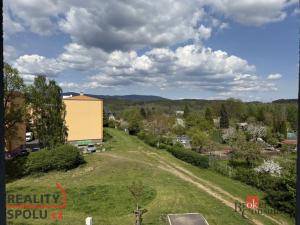 Prodej bytu 1+1, Nová Role, Svobodova, 39 m2