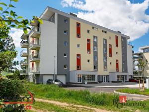 Prodej bytu 1+1, Nová Role, Svobodova, 39 m2