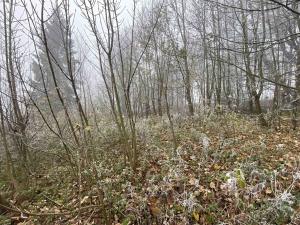 Dražba pozemku pro bydlení, Frýdlant, 2192 m2