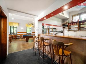 Prodej restaurace, Ústí nad Orlicí, Královéhradecká, 290 m2
