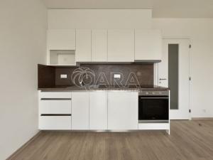 Pronájem bytu 2+kk, Brno - Horní Heršpice, Sokolova, 58 m2