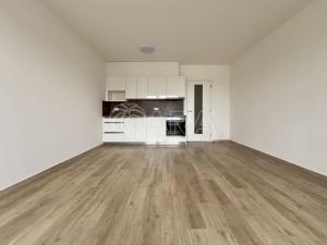 Pronájem bytu 2+kk, Brno - Horní Heršpice, Sokolova, 58 m2