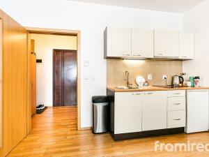 Pronájem bytu 1+kk, Brno, Palackého třída, 42 m2