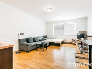 Pronájem bytu 1+kk, Brno, Palackého třída, 42 m2