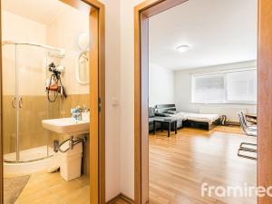 Pronájem bytu 1+kk, Brno, Palackého třída, 42 m2