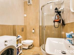 Pronájem bytu 1+kk, Brno, Palackého třída, 42 m2