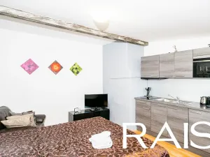 Prodej činžovního domu, Brno, 1004 m2