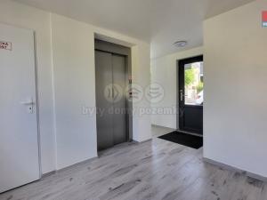 Pronájem kanceláře, Šternberk, Dvorská, 85 m2