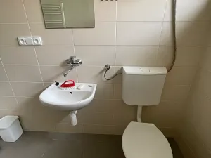 Pronájem bytu 1+kk, Mnichovo Hradiště, 30 m2
