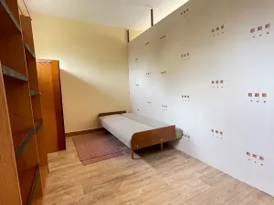 Pronájem bytu 1+kk, Mnichovo Hradiště, 30 m2