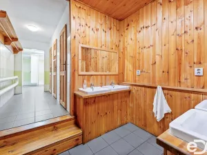 Prodej ubytování, Olešnice v Orlických horách, 1400 m2