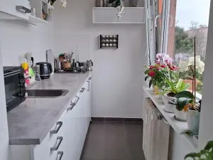 Prodej bytu 1+1, Kladno, Vitry, 26 m2