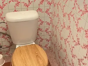 Prodej rodinného domu, Kroměříž, Erbenovo nábřeží, 163 m2