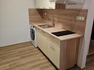 Prodej bytu 1+1, Karlovy Vary, K. Čapka, 41 m2