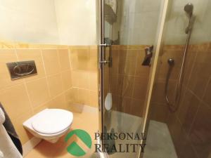 Prodej bytu 1+1, Karlovy Vary, K. Čapka, 41 m2