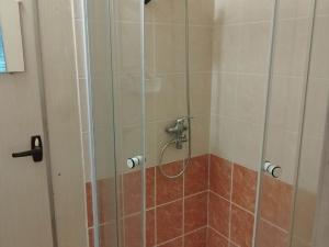 Pronájem bytu 1+1, Žďár nad Sázavou, Haškova, 39 m2