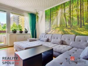 Prodej bytu 4+1, Písek - Pražské Předměstí, Na Pěníku, 78 m2