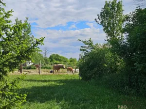 Prodej pozemku pro bydlení, Ořech, Dlouhá, 1142 m2