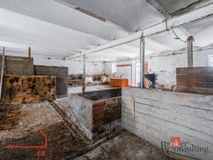 Prodej zemědělské usedlosti, Petrovice I - Senetín, 117 m2