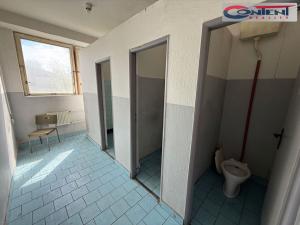 Prodej skladu, Jablonec nad Nisou - Mšeno nad Nisou, Vedlejší, 8651 m2