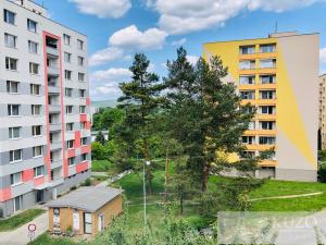 Prodej bytu 2+1, Brno, Opálkova, 58 m2