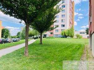 Prodej bytu 2+1, Brno, Opálkova, 58 m2