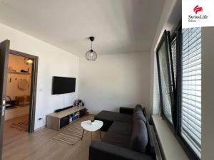 Pronájem bytu 1+kk, Kuřim, 32 m2