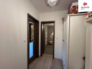 Pronájem bytu 1+kk, Kuřim, 32 m2