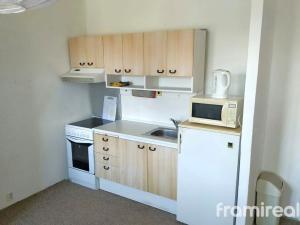 Pronájem bytu 1+kk, Brno, Spodní, 39 m2
