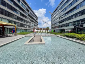 Pronájem obchodního prostoru, Brno - Staré Brno, Nové sady, 520 m2