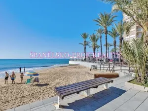 Prodej bytu 1+kk, Torrevieja, Španělsko, Calle Los gases, 40 m2