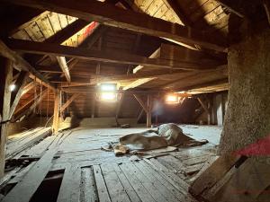 Prodej rodinného domu, Velhartice, 75 m2