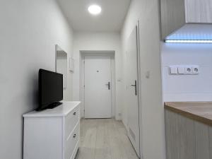 Pronájem bytu 1+kk, Ostrava, 28. října, 27 m2