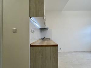 Pronájem bytu 1+kk, Ostrava, 28. října, 27 m2