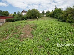 Prodej zahrady, Chlumec - Střížovice, 549 m2