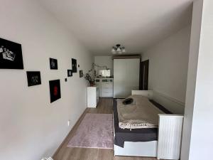 Pronájem bytu 2+kk, Praha - Žižkov, Olgy Havlové, 54 m2