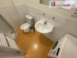 Pronájem bytu 1+kk, Praha - Smíchov, Moulíkova, 30 m2