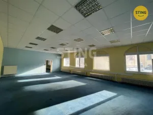 Pronájem skladu, Ostrava, Na Najmanské, 342 m2