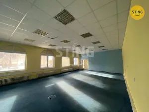 Pronájem skladu, Ostrava, Na Najmanské, 342 m2